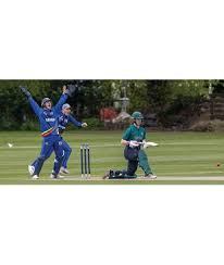 Image result for Ipswich Cricket Club