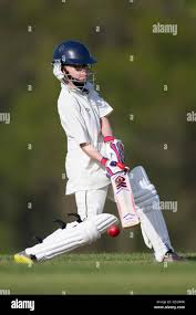 Image result for Marnhull Cricket Club
