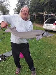 Image result for Acipenser desotoi