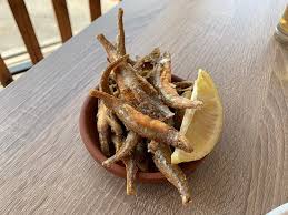 Attēlu rezultāti vaicājumam “Charales”