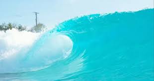 Image result for Uwe Surf Club