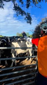 Image result for Portsmouth North End Cycling Club