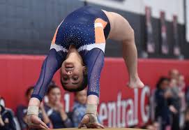 Image result for Wyre Forest School Of Gymnastics