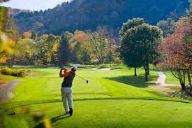 Image result for Ashville College Disc Golf Club