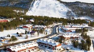 Image result for Laplandit-(Ce)