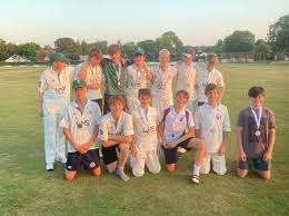 Image result for South Wilts Cricket Club