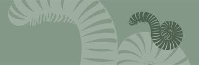 Attēlu rezultāti vaicājumam “Ommatoiulus vilnensis”