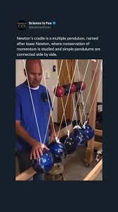 Image result for newton's cradle