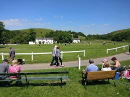 Image result for White Coppice Cricket Club