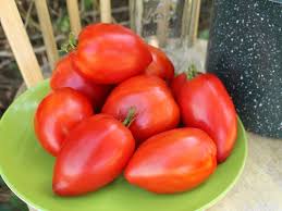 Afbeeldingsresultaat voor amish paste tomato