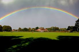 Image result for Headley Table Tennis Club