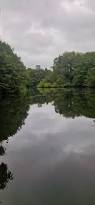 Image result for Bollington & Royal Oak Angling Society
