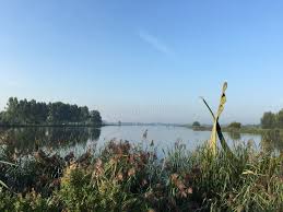 Image result for geeuw