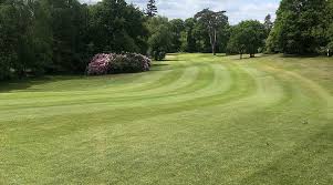 Image result for Puttenham Golf Club