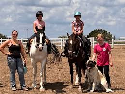 Image result for Kings Ranch Riding School/Club