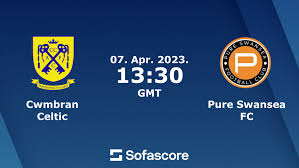 Image result for Cwmbran Celtic F C