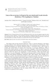 Attēlu rezultāti vaicājumam “Scardia boletella pupa”