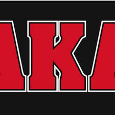 Image result for American Kick Boxing Club