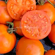 Afbeeldingsresultaat voor belarus orange tomato