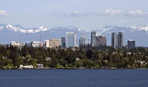 Image result for Bellevue