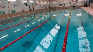 Image result for Derby Phoenix Swimming Club