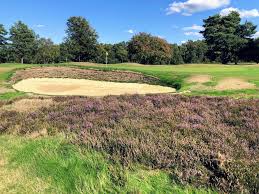 Image result for Walton Heath Golf Club