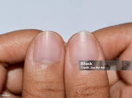 Image result for lunula nail