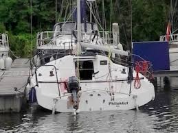 Image result for Pogo minitransat