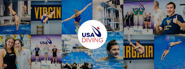 Image result for 243 Diving Club