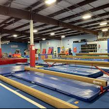 Image result for Exeter Gymnastics Club