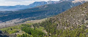 Image result for Ancestral Mountains