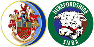 Image result for Herefordshire Short Mat Bowling Association