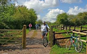 Image result for North Dorset