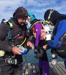 Image result for Dorking Snorkelling Club