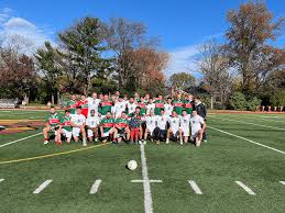 Image result for Ballerin Gaelic Athletic Club