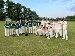 Image result for Chew Magna Cricket Club