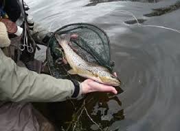 Image result for Aberdeen & District Angling Association