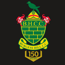 Image result for Burgess Hill Hockey Club