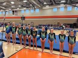 Image result for Blandford Forum Gymnastics & Kanga Club