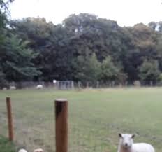 Image result for Saddleworth Cricket Bowling & Tennis Club