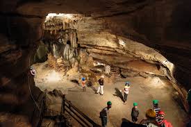 Image result for Venutios Caving Group