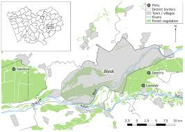 Attēlu rezultāti vaicājumam “Bupalus piniaria female”