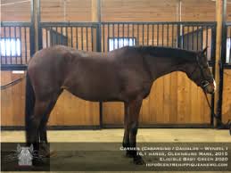 Image result for Carman Stables