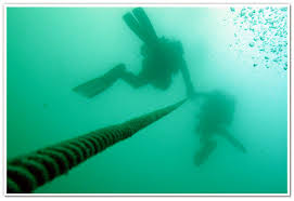 Image result for Breakwater Divers