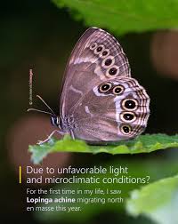 Attēlu rezultāti vaicājumam “Lopinga achine underside”