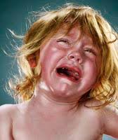 Image result for jill greenberg