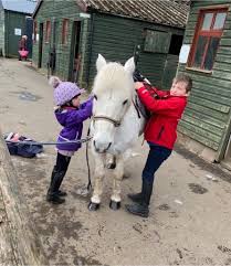 Image result for Scottish Equi Complex