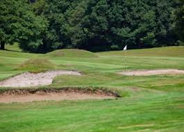 Image result for Dorking Golf Club