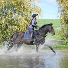 Image result for Huntingdon and District Riding Club