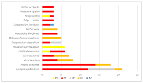 Attēlu rezultāti vaicājumam “Ophiotheca chrysosperma sessile”
